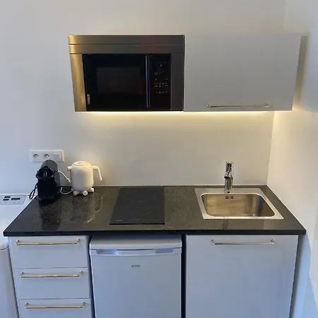 Life Renaissance - New Concept - Place Kléber Appartement